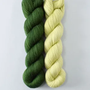 Beanstalk and Lacewing - 2-Ply Duo