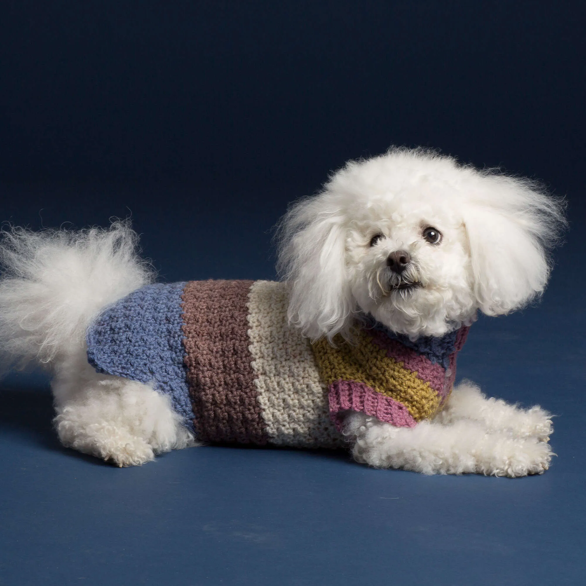 Caron Textured Crochet Dog Coat